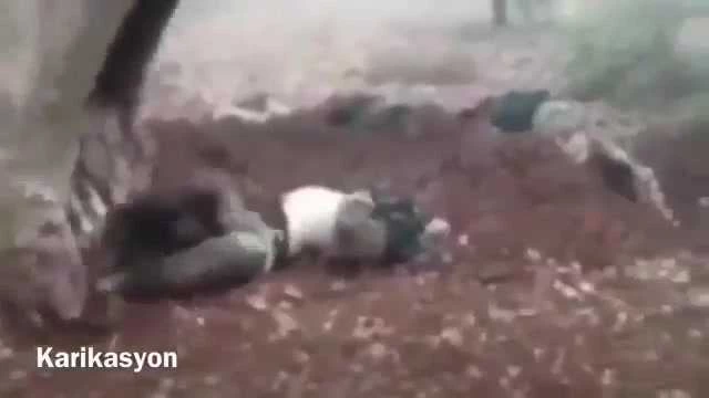 Μια ζωή κτήνη: Τούρκοι σκυλεύουν πτώματα Κούρδων με εκσκαφέα  – Προσοχή! Σκληρές εικόνες! – Βίντεο